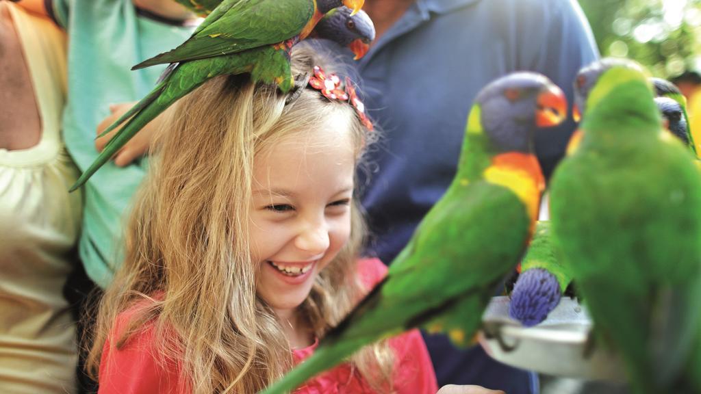 Big4 Gold Coast Holiday Park Exterior foto